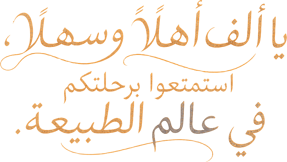 نتمنى لكم رحلة ممتعة في عالم الطبيعة