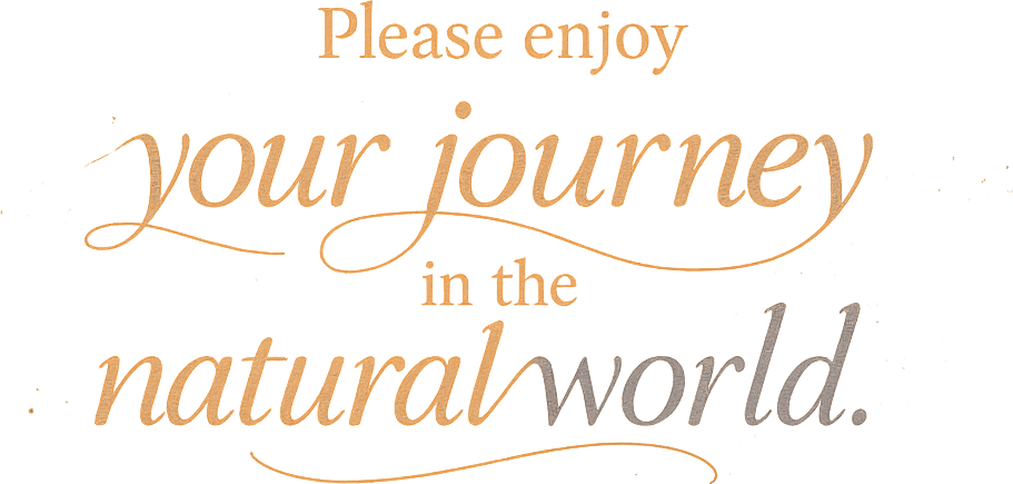 Please enjoy your journey in the natural world